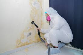 Best Forensic Mold Investigation  in Port Salerno, FL